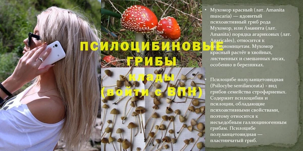 экстази Новодвинск