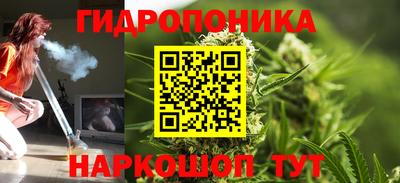 стаф Волжск