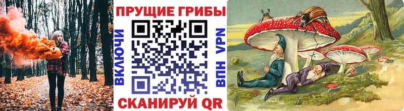 Галлюциногенные грибы Magic Shrooms  Уварово 