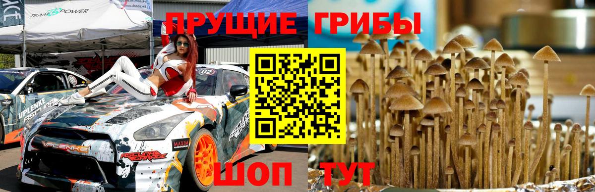 Псилоцибиновые грибы GOLDEN TEACHER Уварово