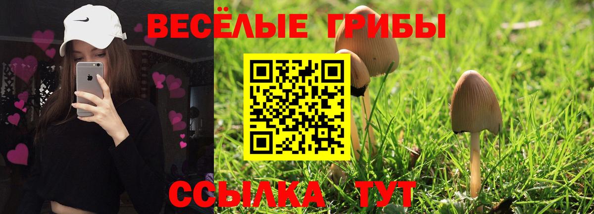 Галлюциногенные грибы MAGIC MUSHROOMS  Уварово 